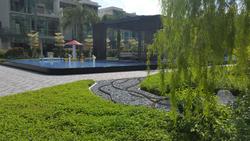 Thomson Three (D20), Apartment #134247062